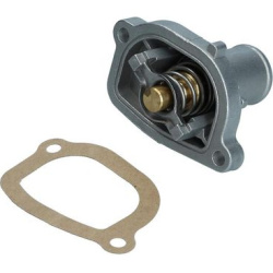  termostatas, aušinimo skystis