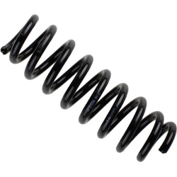  spyruoklė <small>BILSTEIN - B3 OE Replacement</small>
