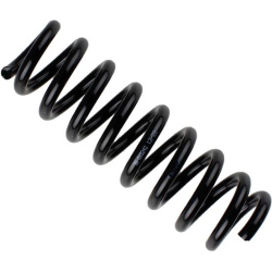  spyruoklė <small>BILSTEIN - B3 OE Replacement</small>
