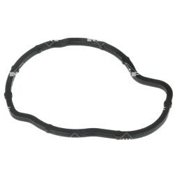  termostatas, aušinimo skystis