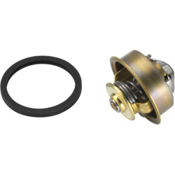  termostatas, aušinimo skystis