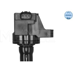  ritė, uždegimas <small>MEYLE-ORIGINAL: True to OE.</small>