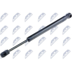  dujinė spyruoklė, bagažinė