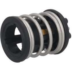  termostatas, aušinimo skystis