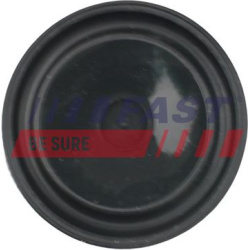  membrana, karterio alsuoklis