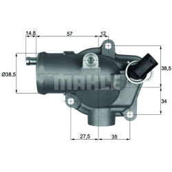  termostatas, aušinimo skystis