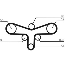  vandens siurblio ir paskirstymo diržo komplektas