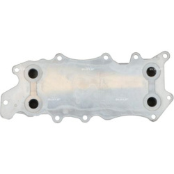  alyvos aušintuvas, variklio alyva