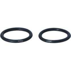  radiatorius, variklio aušinimas