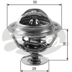  termostatas, aušinimo skystis