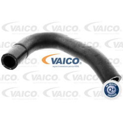  radiatoriaus žarna <small>Q+, original equipment manufacturer quality</small>