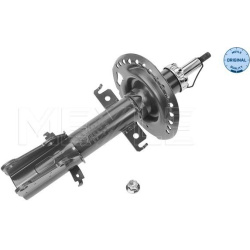  amortizatorius <small>MEYLE-ORIGINAL: True to OE.</small>