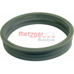  tarpiklis, degalų daviklio blokas