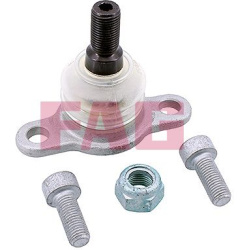  Šarnyras / girgždukas