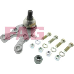  Šarnyras / girgždukas