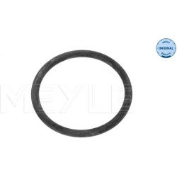  tarpiklis, aušinimo skysčio flanšas