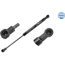  dujinė spyruoklė, bagažinė