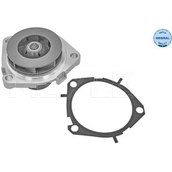  Vandens siurblys, variklio aušinimas <small>MEYLE-ORIGINAL: True to OE.</small>