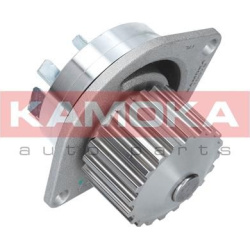  Vandens siurblys, variklio aušinimas