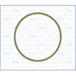  tarpiklis, išleidimo kolektorius