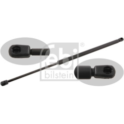  dujinė spyruoklė, bagažinė