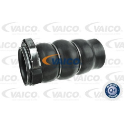  kompresoriaus padavimo žarna <small>Q+, original equipment manufacturer quality</small>