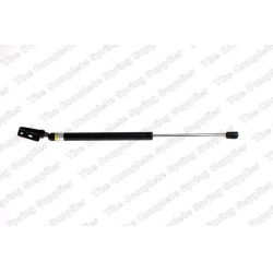  dujinė spyruoklė, bagažinė