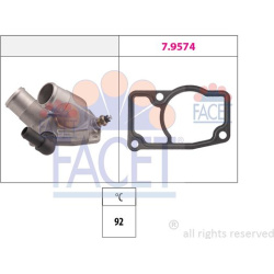  termostatas, aušinimo skystis