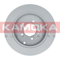  stabdžių diskas (1vnt)