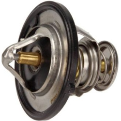  termostatas, aušinimo skystis