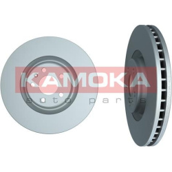  stabdžių diskas (1vnt)