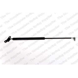  dujinė spyruoklė, bagažinė