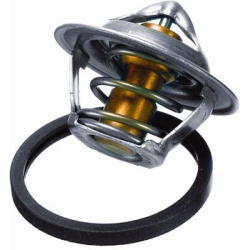  termostatas, aušinimo skystis