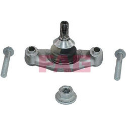  Šarnyras / girgždukas