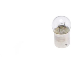 galinio žibinto lemputė <small>