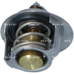  termostatas, aušinimo skystis