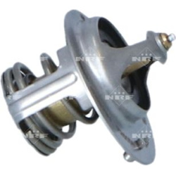  termostatas, aušinimo skystis