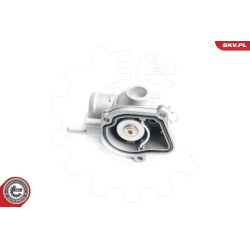  termostatas, aušinimo skystis