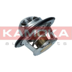  termostatas, aušinimo skystis