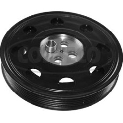  skriemulys, alkūninis velenas