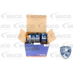  Kompl., autom. pavarų dėžės alyv. keit.