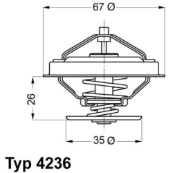  termostatas, aušinimo skystis