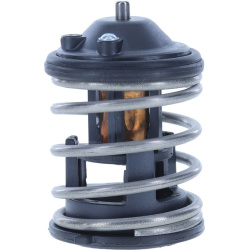  termostatas, aušinimo skystis