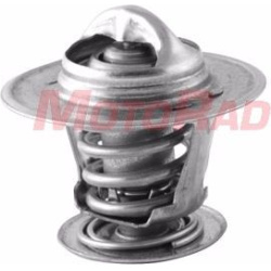  termostatas, aušinimo skystis