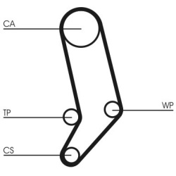 vandens siurblio ir paskirstymo diržo komplektas