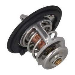  termostatas, aušinimo skystis