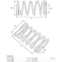  remonto komplektas, starteris