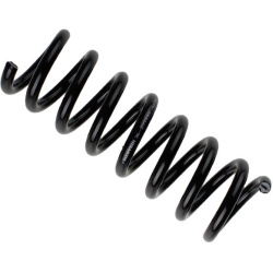  spyruoklė <small>BILSTEIN - B3 OE Replacement</small>