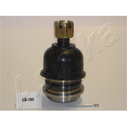  Šarnyras / girgždukas