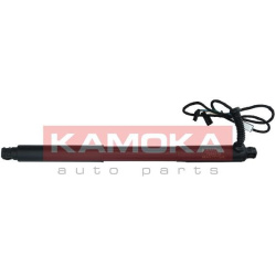  galinių durų elektros variklis